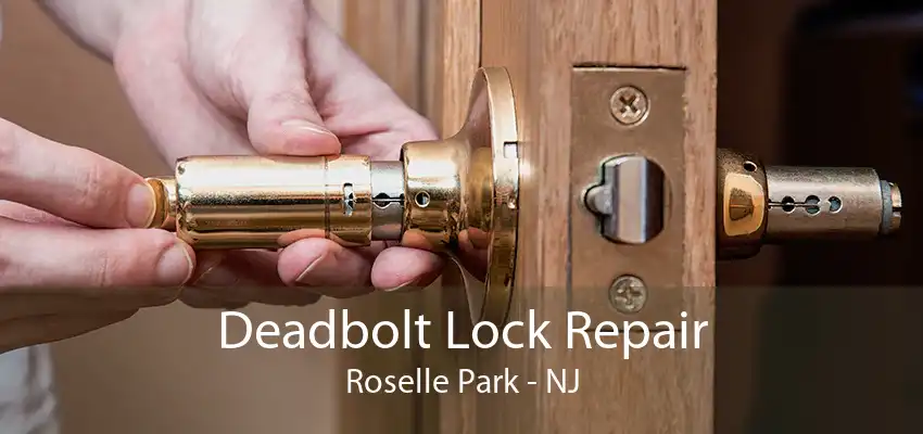 Deadbolt Lock Repair Roselle Park - NJ