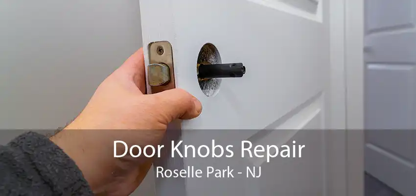 Door Knobs Repair Roselle Park - NJ