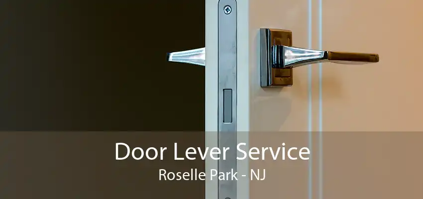 Door Lever Service Roselle Park - NJ