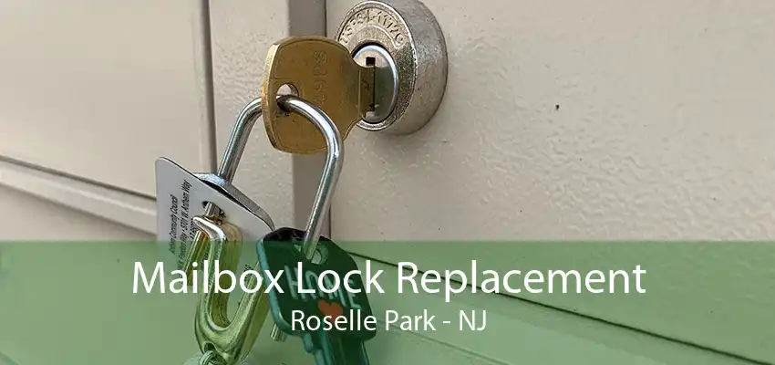 Mailbox Lock Replacement Roselle Park - NJ