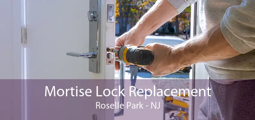 Mortise Lock Replacement Roselle Park - NJ