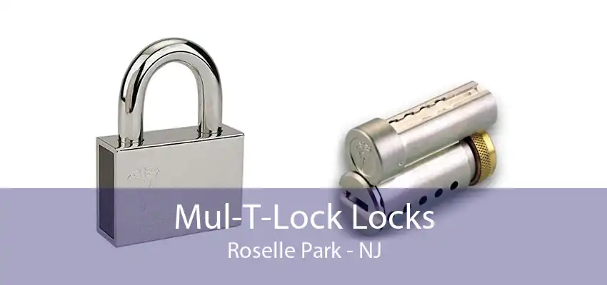 Mul-T-Lock Locks Roselle Park - NJ