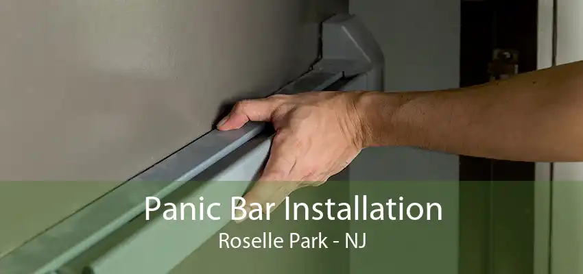 Panic Bar Installation Roselle Park - NJ